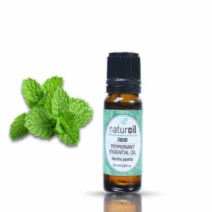 שמן אתרי מנטה 10 מ"ל Nature Oil