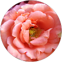 Judy M profile picture